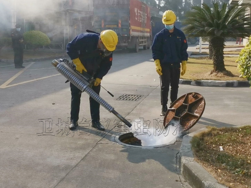惠州杀虫公司丨灭虫除蚁找卫城{惠州杀虫公司}专业上门除虫