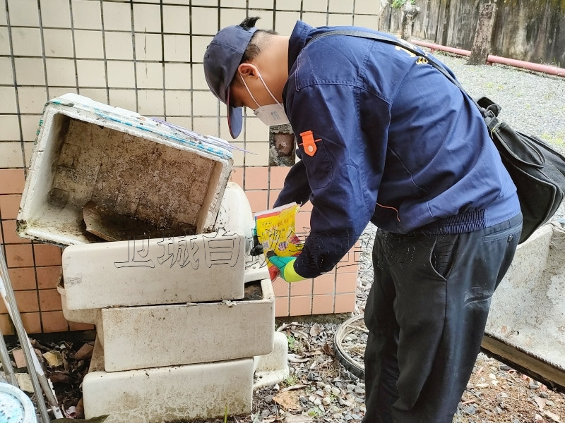 惠州粉蠹虫防治丨惠州蛀木虫防治丨惠州灭蛀木虫公司