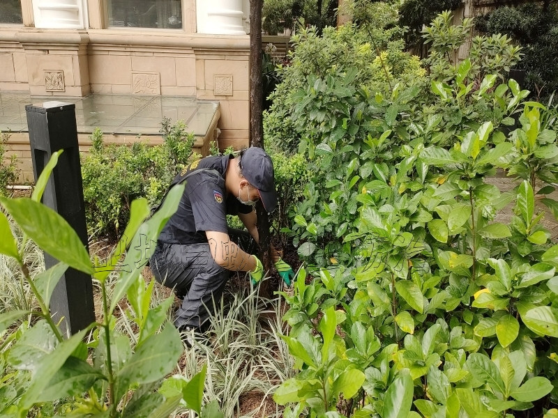 淡水白蚁防治所公司丨惠州{淡水白蚁防治}杀白蚁除虫服务中心