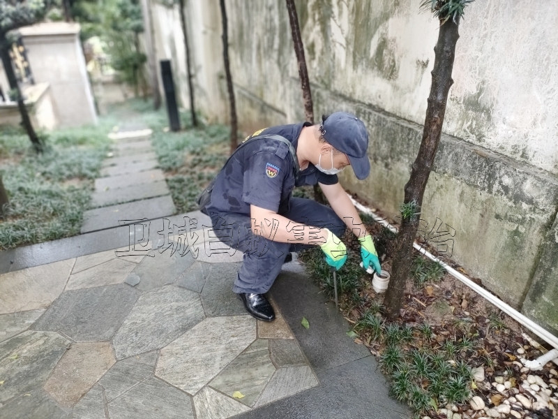 荔湾区海龙白蚁防治中心丨齐家推荐广州市荔湾海龙灭治白蚁防治研究所