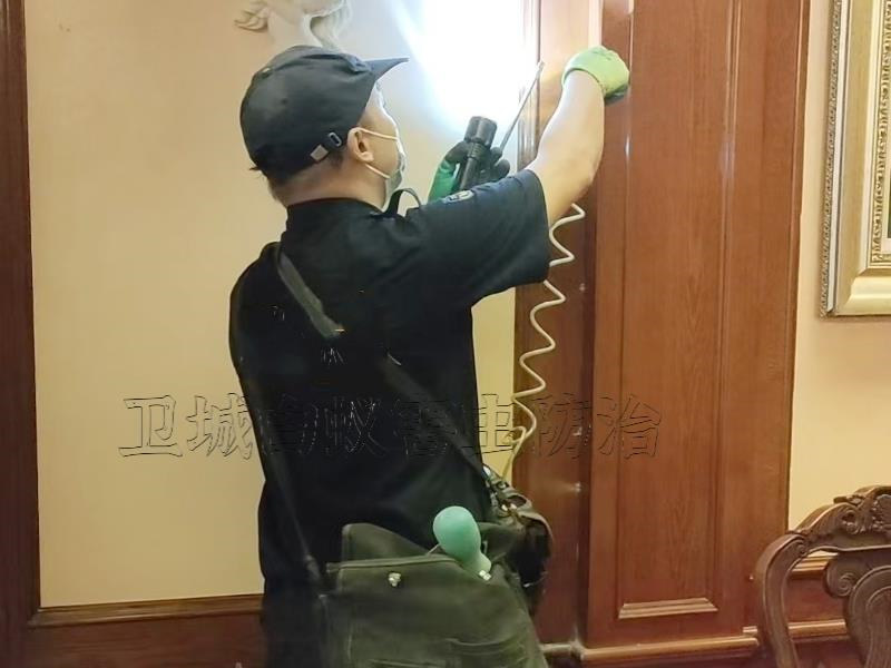 龙岗区坂田白蚁防治中心丨快速上门深圳龙岗坂田灭白蚁公司