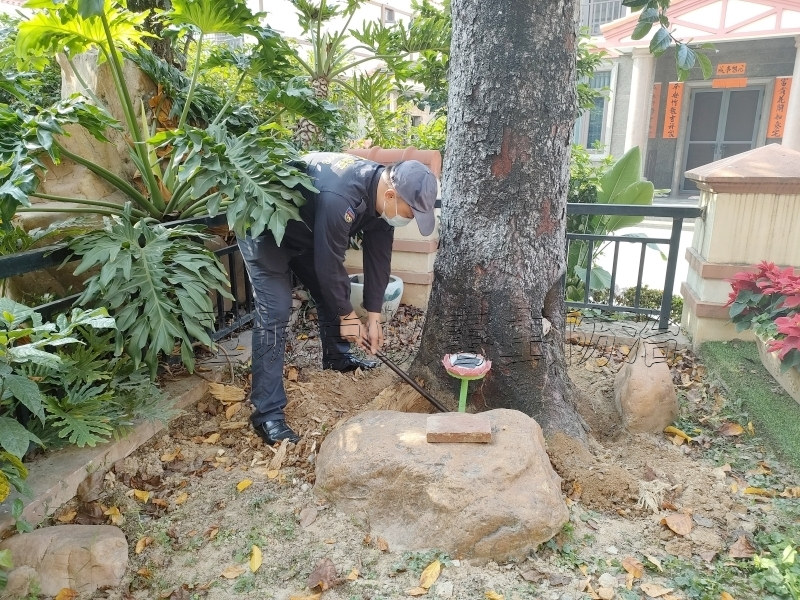 惠州惠东区平海镇消灭白蚁_白蚁的生命周期与繁殖机制