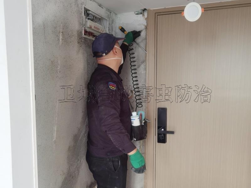 惠阳白蚁防治中心-澳头白蚁防治公司-大亚湾治理白蚁服务