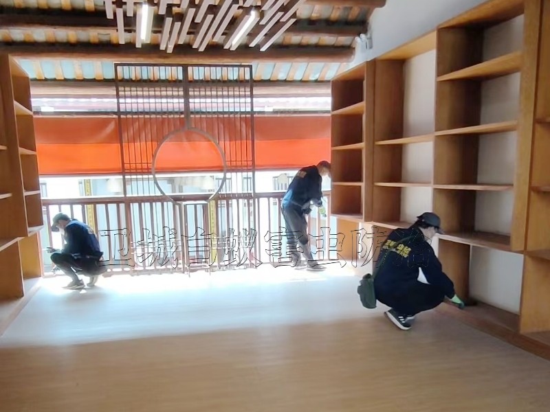 惠州靠谱白蚁防治公司推荐-卫城白蚁害虫防治有限公司13824275151