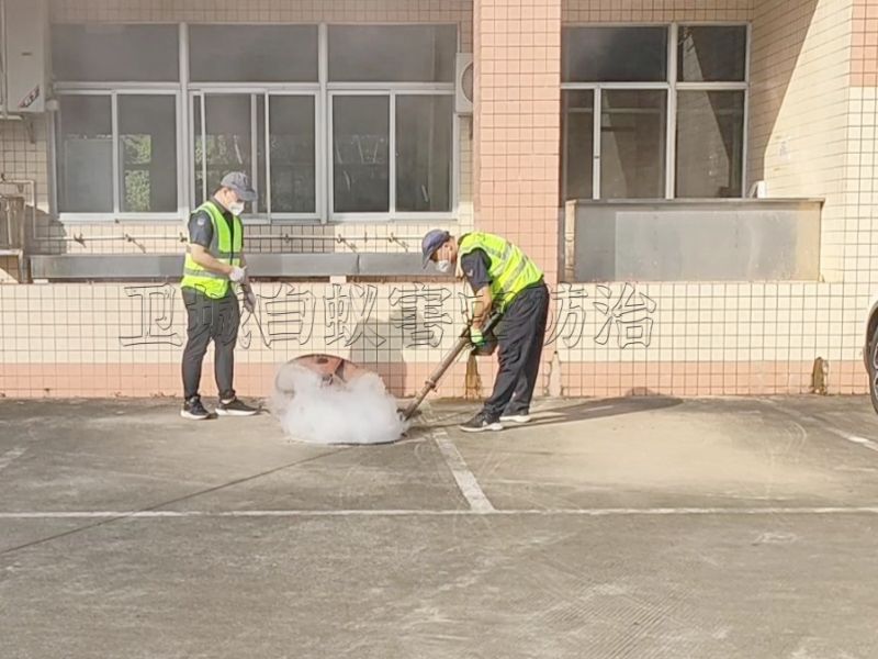 惠城杀臭虫工厂灭臭虫消杀首选,惠城臭虫防治,惠州灭臭虫公司快速高效